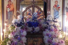 DSCN0036