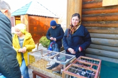 DSCN0085