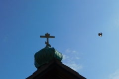 DSCN0137