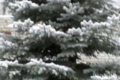 IMG-2c66d09f3b1ae924b54341798ec2e43f-V