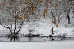 IMG-3c88b9e0f558f64091f3f417546552a8-V