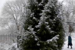 IMG-77c5296c1a9929c3a91ffa2712b86213-V