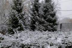 IMG-f5bc06255a0889be7215c122a897814a-V