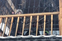 thumbnail_image17