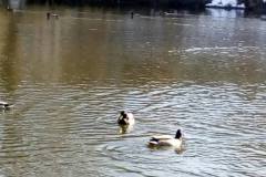 IMG-2d0c8cd42c250e2c6bc16f305a87d76a-V