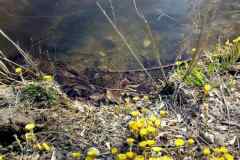 IMG-6f57b4b3856b29e4f8926ede178ba115-V