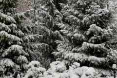 IMG-02f65cc3f56be71d764c59229c36385b-V