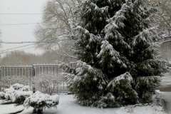 IMG-d0032027745abe19bee1e79dace519d0-V