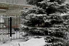IMG-deaa07ed26cf5f38758bef8447b17654-V