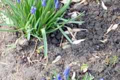 IMG-8efb9983c15161561116649f00a8b7be-V