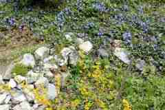 IMG-a6bc68847eb5a2cb734ab48bc2f6d5de-V