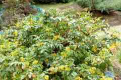 IMG-861a176a4dc9de6dc46d8553ef621e98-V