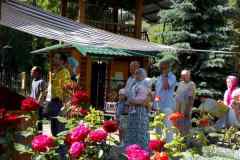 IMG-487794f9d74f3ec209977bfd6e9b9450-V