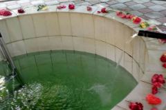 IMG-71a3a4076d2d9a69eb8915441347ae09-V