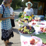 IMG-4d286e677b8e784376370c234f7d0e07-V
