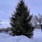 IMG-12d3f59ebe2512c00fc56de56031d123-V