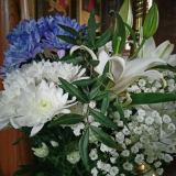 IMG-4b158c277d2ced1109e971ddbdd91b2e-V