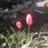 fBOvndolX9lxfZlPJ57hlaYpoIlGSqWxVLcm0EJdeGu6ruimp79MiOExwnyFukpDCXelwNXfFXQLhEjET7my-7Hk