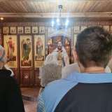 006